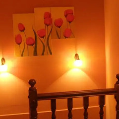 Отель Casa Cosculluela Испания, Аинса - отзывы, цены и фото номеров - забронировать отель Casa Cosculluela онлайн удобства в номере