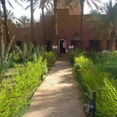 Отель Riad Tagmadart Ferme D'hôte Марокко, Загора - отзывы, цены и фото номеров - забронировать отель Riad Tagmadart Ferme D'hôte онлайн фото 11