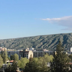Отель Tamosi Palace 3* Номер Делюкс с различными типами кроватей фото 5