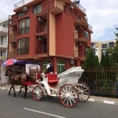 Отель Eleonora Beach спортивное сооружение