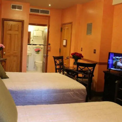 Blue Moon Boutique Hotel 3* Стандартный номер с различными типами кроватей фото 3