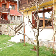 Отель Guest House Grandpa’s Mitten Болгария, Копривштица - отзывы, цены и фото номеров - забронировать отель Guest House Grandpa’s Mitten онлайн фото 3
