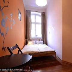 Pit Stop Hostel Стандартный номер с различными типами кроватей фото 3