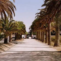 Отель House in a Farm 2km from the Ericeira Beach фото 7