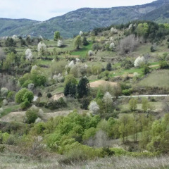 Отель Guest House Elitsa Болгария, Чепеларе - отзывы, цены и фото номеров - забронировать отель Guest House Elitsa онлайн фото 3