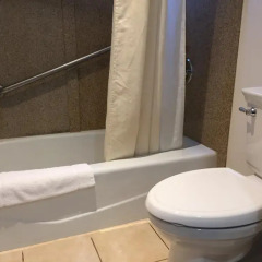 Отель Buena Vista Motor Inn ванная фото 2