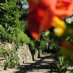 Отель Villa Tivoli Меран фото 5