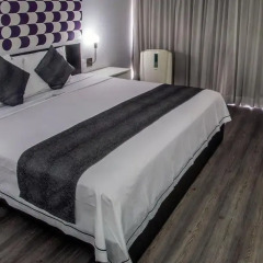 Отель El Ejecutivo 4* Номер Делюкс фото 8