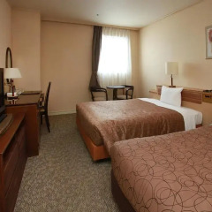 Asakusa Central Hotel 3* Стандартный номер с 2 отдельными кроватями фото 6