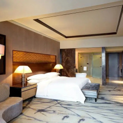 Отель Sheraton North City 5* Представительский номер фото 6