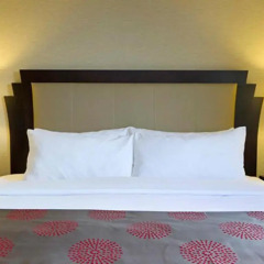 Отель Ramada Plaza by Wyndham Toronto Downtown Канада, Торонто - отзывы, цены и фото номеров - забронировать отель Ramada Plaza by Wyndham Toronto Downtown онлайн комната для гостей фото 4