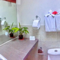 Отель Goblin Hill Villas at San San 3* Вилла с различными типами кроватей фото 23