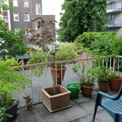 Отель Kunibertkloster Appartements Am Dom Апартаменты