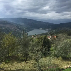 Отель Casa da Quinta da Calçada Португалия, Синфайнш - отзывы, цены и фото номеров - забронировать отель Casa da Quinta da Calçada онлайн фото 10