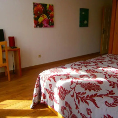 Отель Apartamentos sobre o Douro Стандартный номер двуспальная кровать фото 5