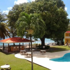 Отель Sunset Shores Beach Hotel Сент-Винсент и Гренадины, Остров Бекия - отзывы, цены и фото номеров - забронировать отель Sunset Shores Beach Hotel онлайн фото 5