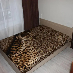 Гостиница Avrora Centr Guest House Стандартный номер с двухъярусной кроватью фото 7