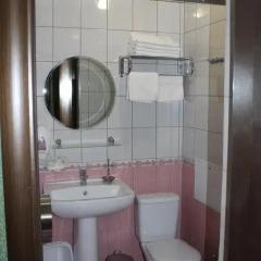 Гостиница Usadba Dobrogo Doctora Guest House ванная