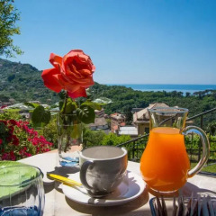 Отель Le Clementine B&B Камогли бассейн