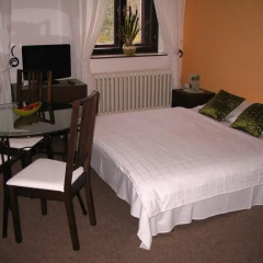 Hotel Oldrichuv Dub комната для гостей фото 2