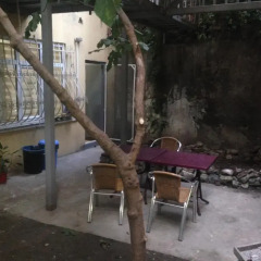 Starlet hostel