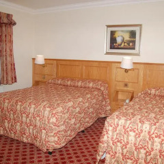 Viking Hotel 3* Стандартный номер фото 2