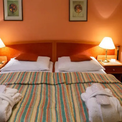 Villa Savoy Spa Park Hotel 4* Стандартный номер с двуспальной кроватью фото 2