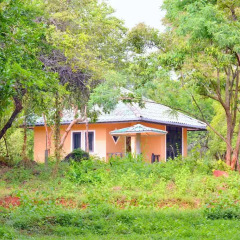 Отель Kodigahawewa Forest Resort 3* Номер Делюкс с различными типами кроватей фото 7