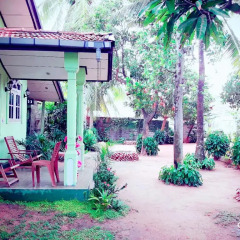 Sylvester Villa Hostel Negombo Кровать в общем номере с двухъярусной кроватью фото 4