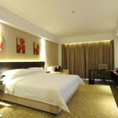 Vienna International Hotel 4* Стандартный номер с различными типами кроватей фото 2