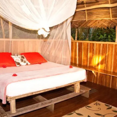 Отель Al Natural Resort комната для гостей фото 2