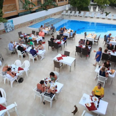 Catty Cats Garden Hotel