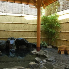 Отель Ryokan Nakaya Мисаса бассейн