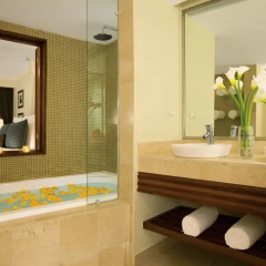 Отель Dreams Palm Beach Punta Cana 4* Номер Делюкс