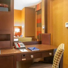 Golden Nugget Las Vegas Hotel & Casino 4* Полулюкс с двуспальной кроватью фото 6