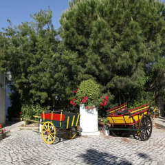 Отель Balaia Sol Holiday Club Португалия, Албуфейра - 1 отзыв об отеле, цены и фото номеров - забронировать отель Balaia Sol Holiday Club онлайн парковка