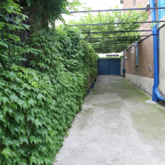 Отель Guest House Chubini
