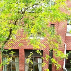 Апартаменты Apartments City/ Altstadt/ Hohe Str. Кёльн