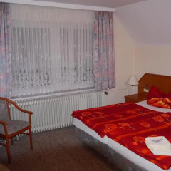 Отель Berghotel Hahnenklee 3* Стандартный номер с различными типами кроватей фото 6
