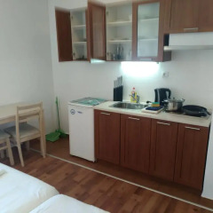 Апартаменты Gondola Apartments & Suites Студия с различными типами кроватей фото 8