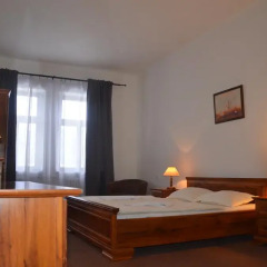 Hotel Branik 3* Номер Комфорт с различными типами кроватей фото 6