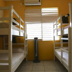 Reggae Hostel Стандартный номер с различными типами кроватей фото 6