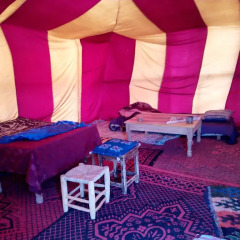 Отель Desert Camel Camp Марокко, Мерзуга - отзывы, цены и фото номеров - забронировать отель Desert Camel Camp онлайн детские мероприятия фото 2
