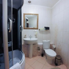 Hotel Baryshnya 4* Номер Делюкс с различными типами кроватей