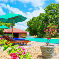 Отель Shangri-Lanka Village Бунгало Делюкс с различными типами кроватей фото 25