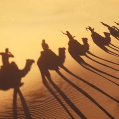 Отель Merzouga Desert Марокко, Мерзуга - отзывы, цены и фото номеров - забронировать отель Merzouga Desert онлайн фитнесс-зал фото 2