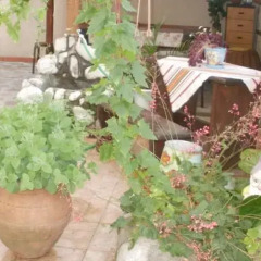 Отель Family Hotel Santo Bansko Болгария, Банско - отзывы, цены и фото номеров - забронировать отель Family Hotel Santo Bansko онлайн фото 2