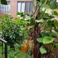 Отель Highbury Colombo Шри-Ланка, Коломбо - отзывы, цены и фото номеров - забронировать отель Highbury Colombo онлайн фото 13