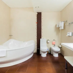 Гостиница Брайтон 4* Люкс с различными типами кроватей фото 7