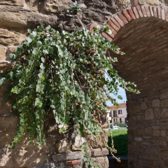 Отель B&B Casamia Ареццо